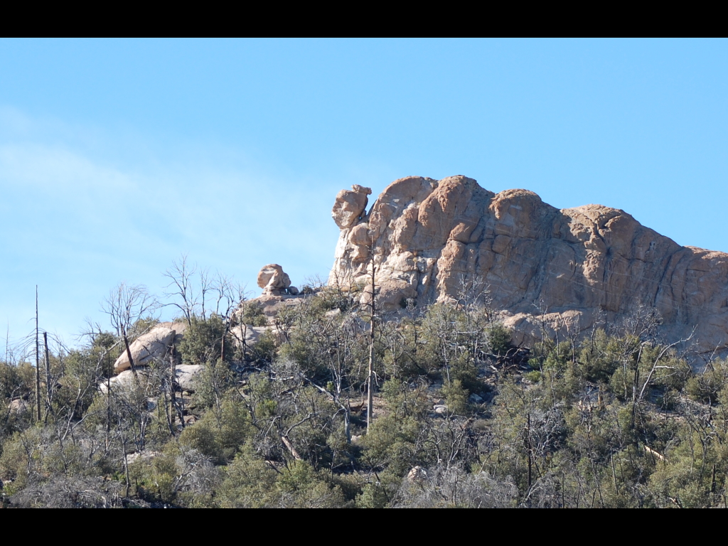 DSC_2841b.JPG