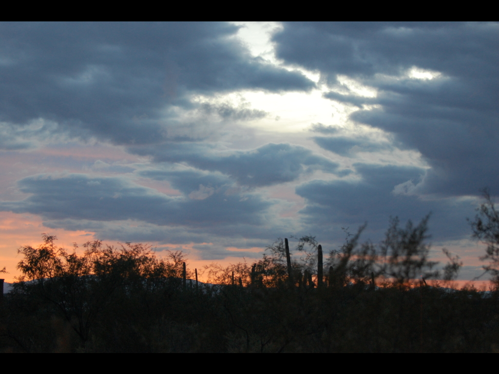 DSC_3200b.JPG