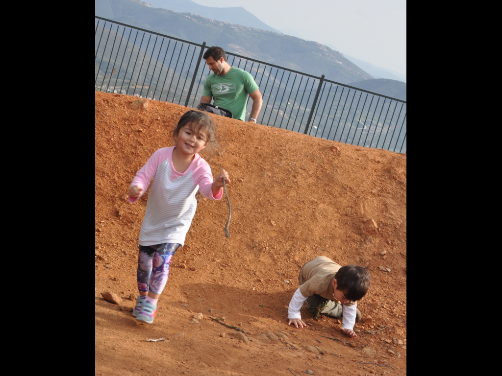 DSC_1366b.JPG