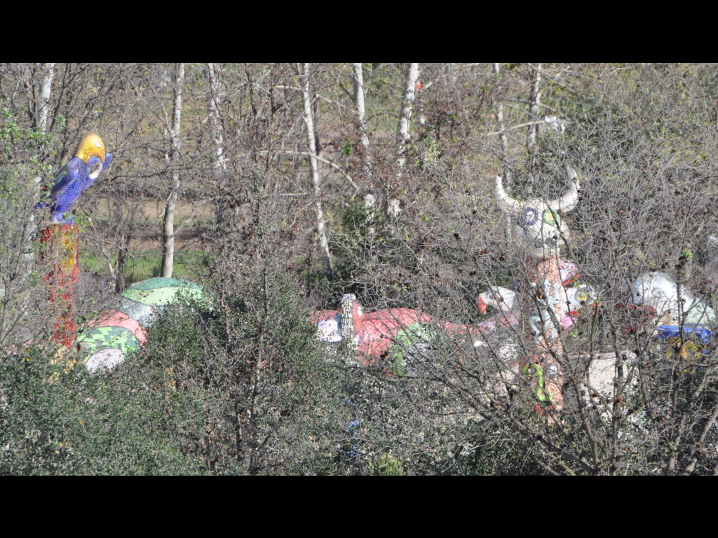 DSC_0245b.JPG