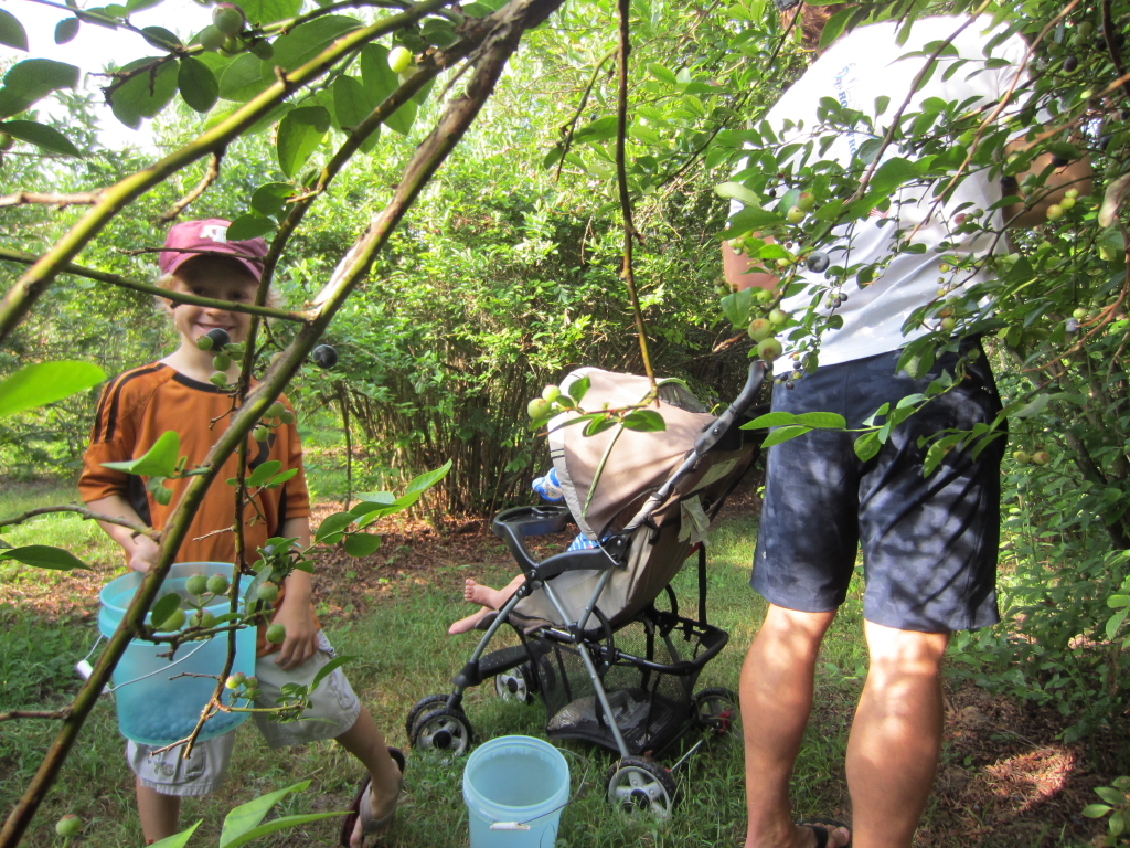 IMG_2837b.JPG