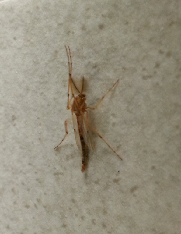 20151016_140420b.jpg