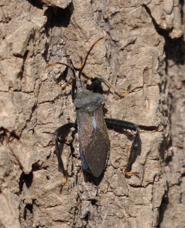 DSC_0360b.JPG
