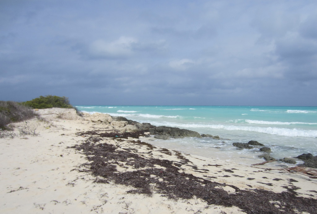 IMG_3940b.JPG