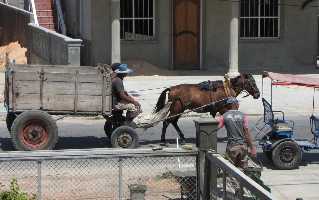 IMG_2011b.JPG