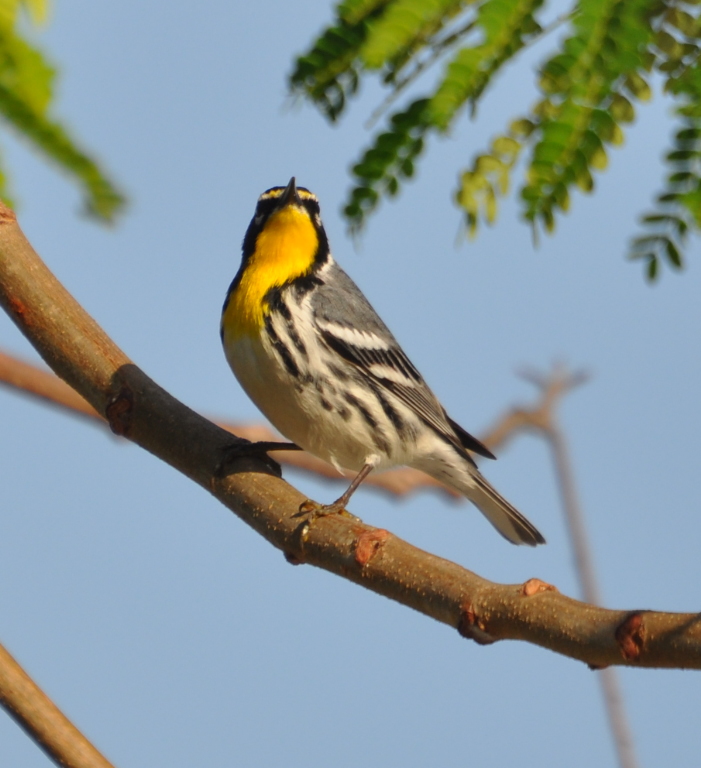 DSC_0158b.JPG