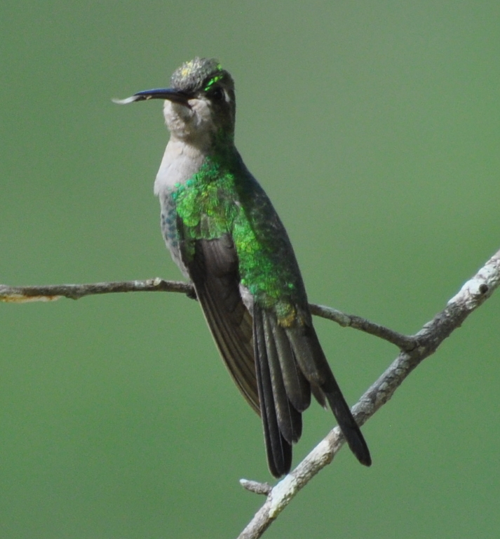DSC_0032b.JPG