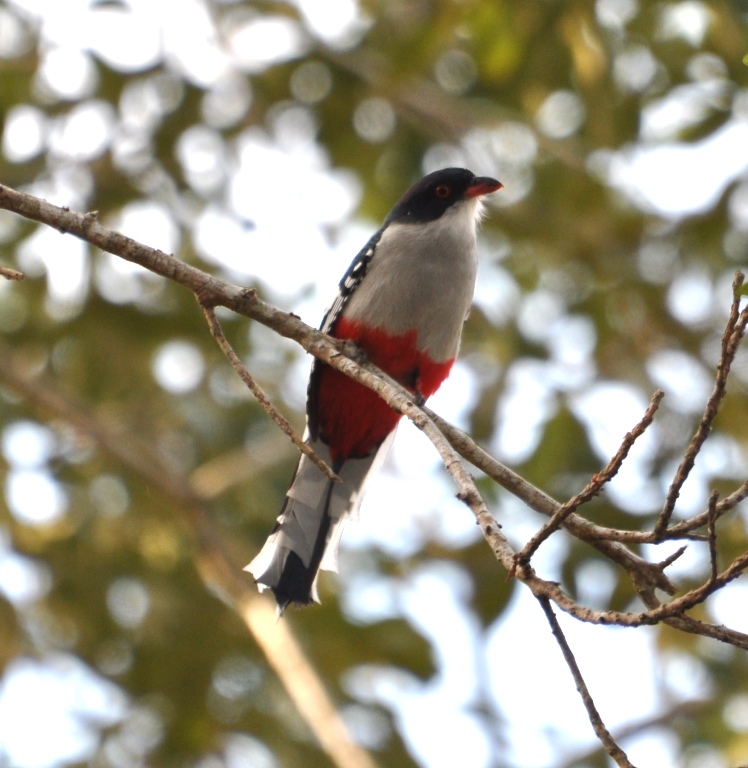 DSC_0380b.JPG
