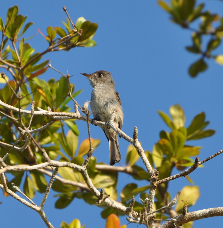 DSC_0066b.JPG