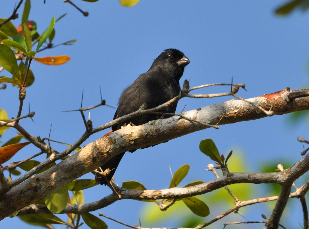 DSC_0122b.JPG