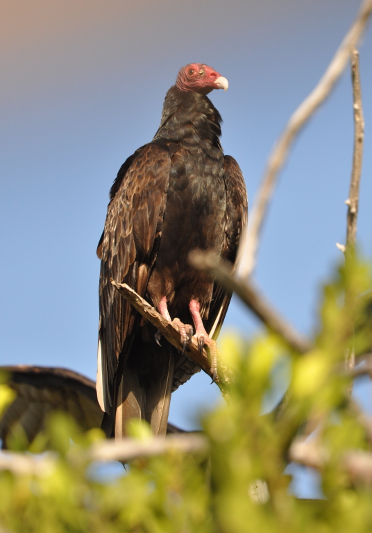 DSC_0144b.JPG