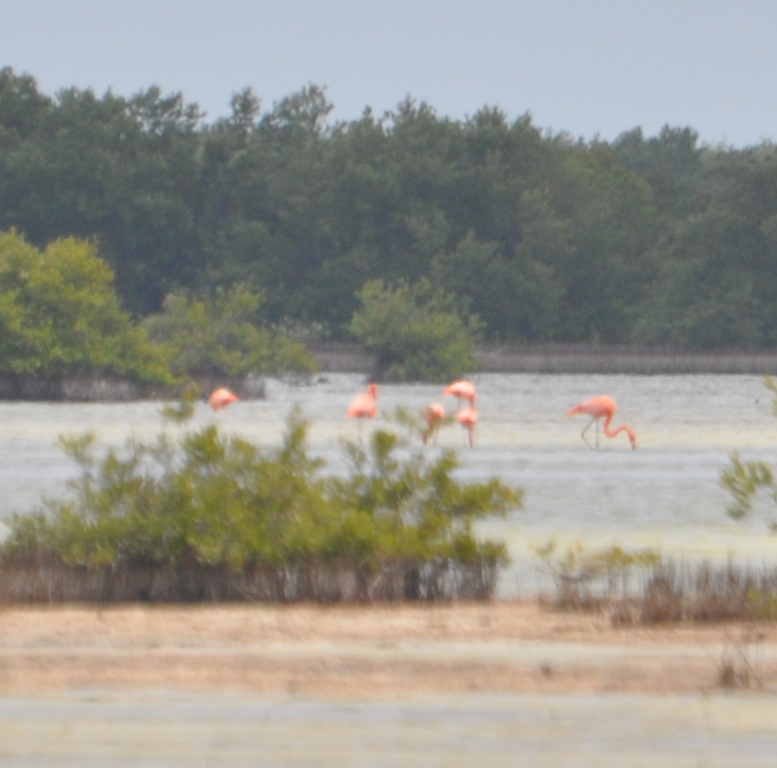 DSC_0456b.JPG