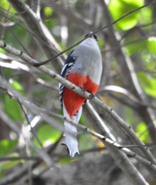 DSC_0260b.JPG
