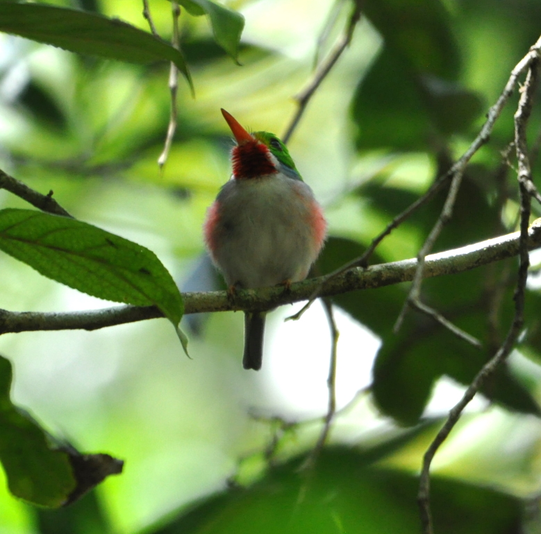 DSC_0312b.JPG