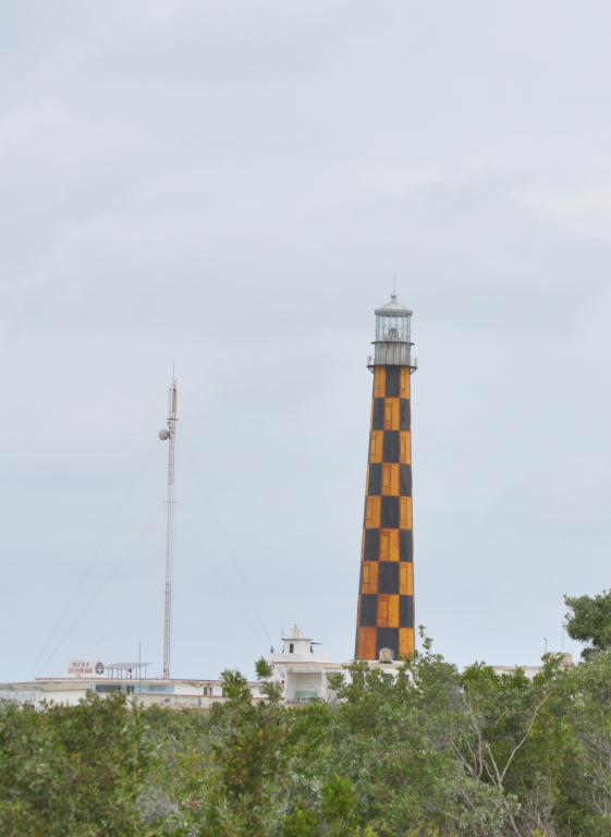 DSC_0072b.JPG