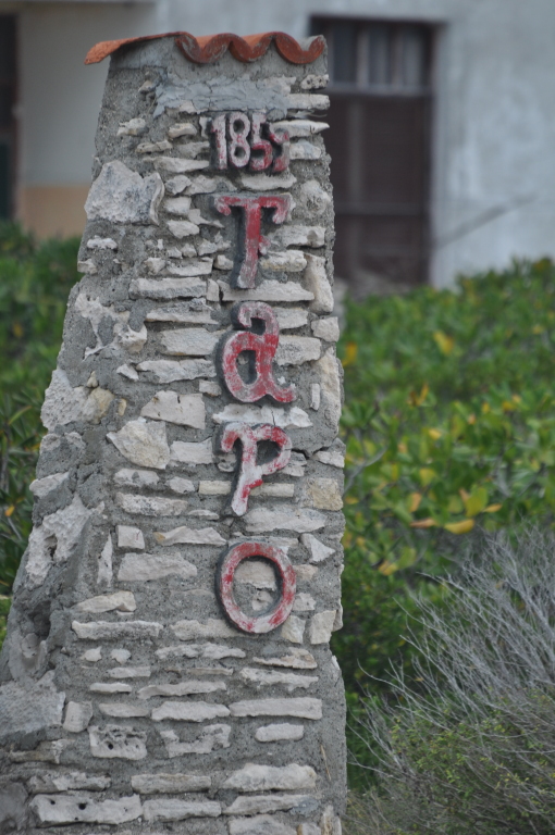 DSC_0197b.JPG