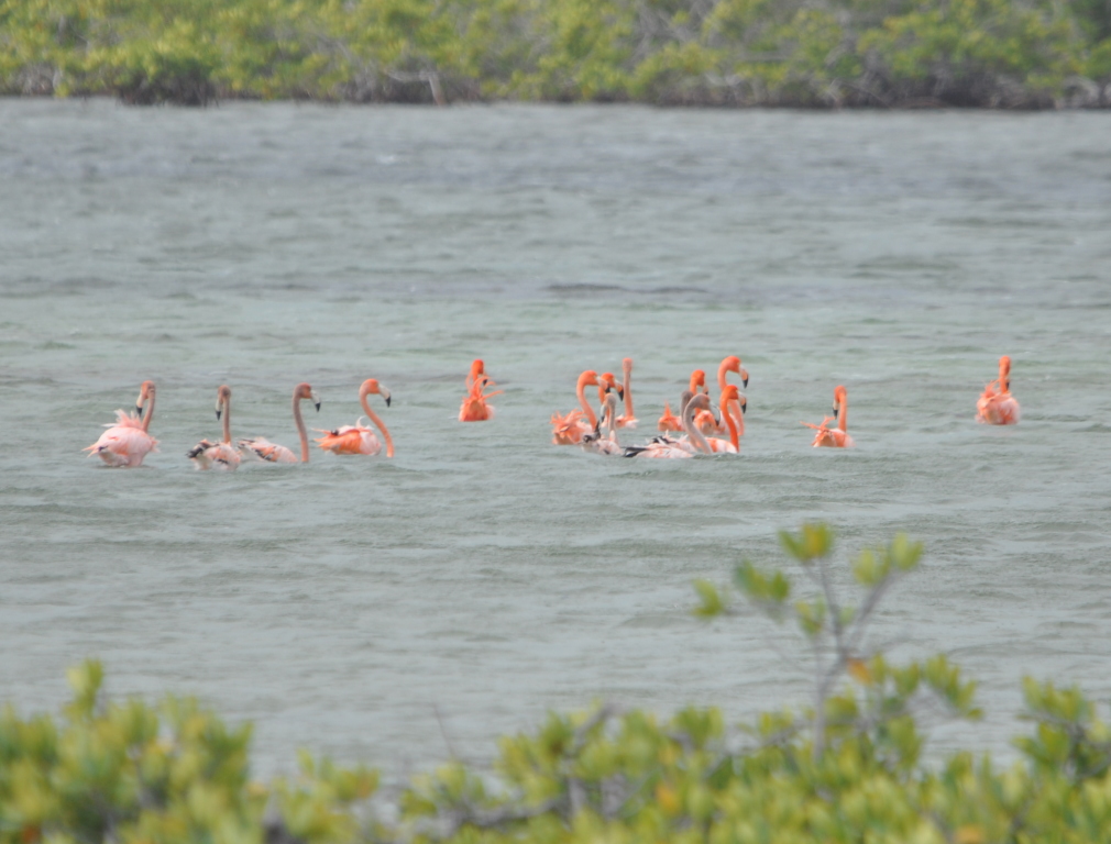 DSC_0612b.JPG