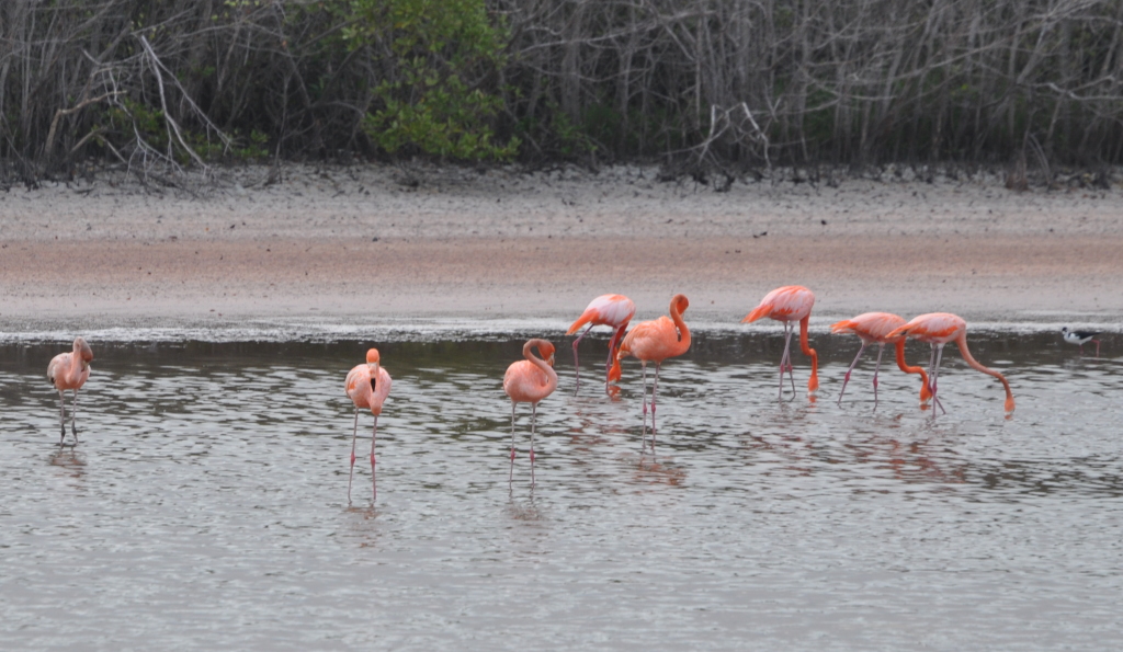 DSC_0967b.JPG
