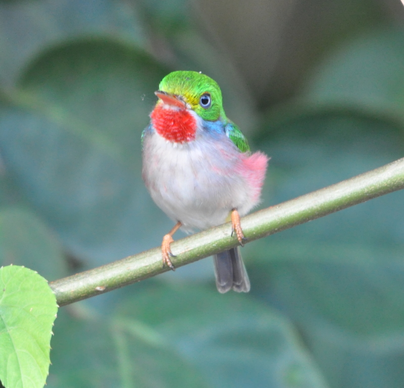 DSC_0160b.JPG