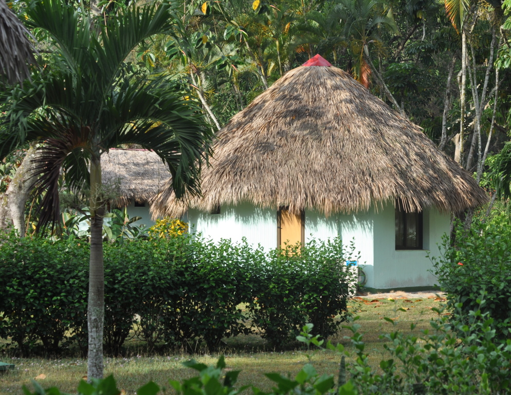 DSC_0716b.JPG