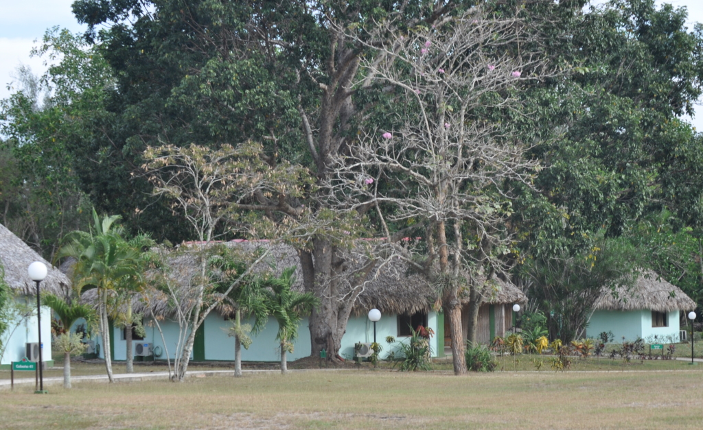 DSC_0776b.JPG