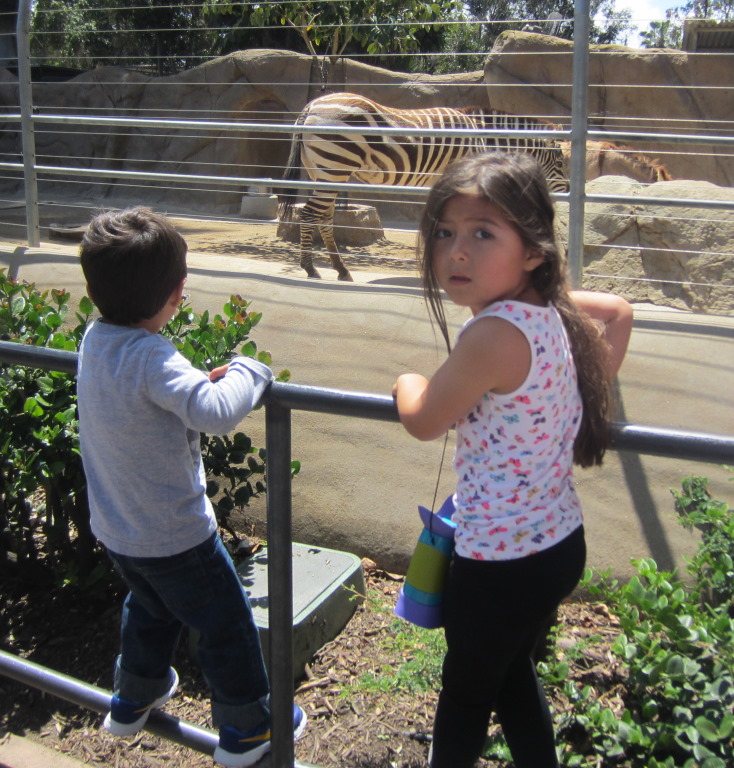 IMG_5009b.JPG