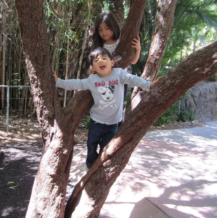 IMG_5057b.JPG