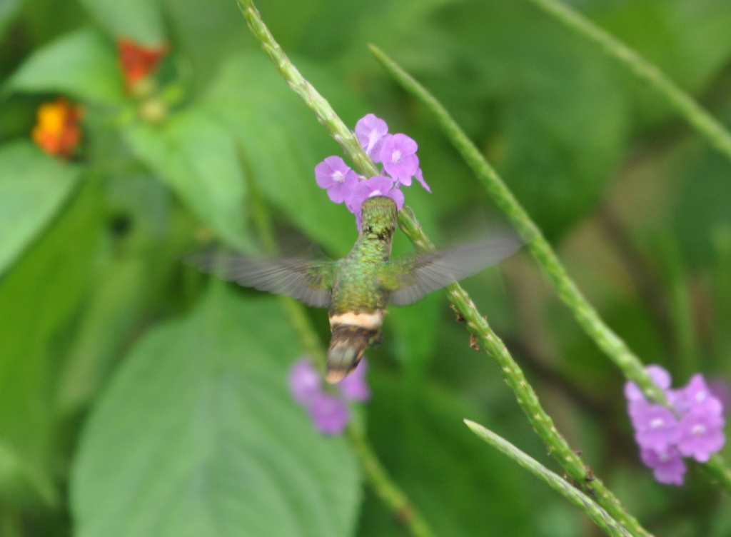 DSC_0413b.JPG