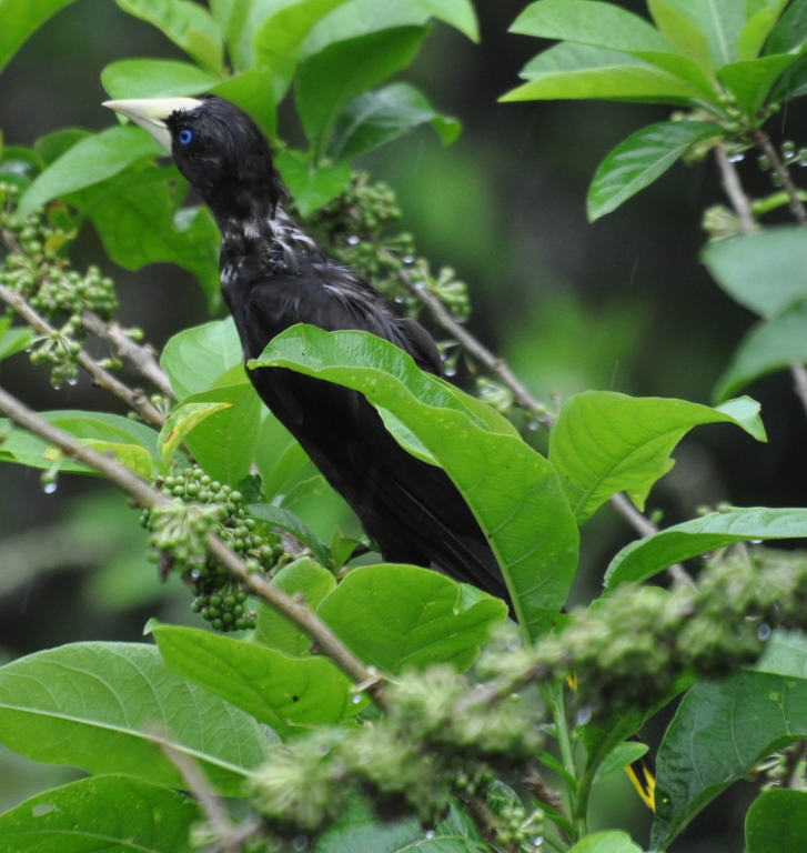 DSC_0349b.JPG