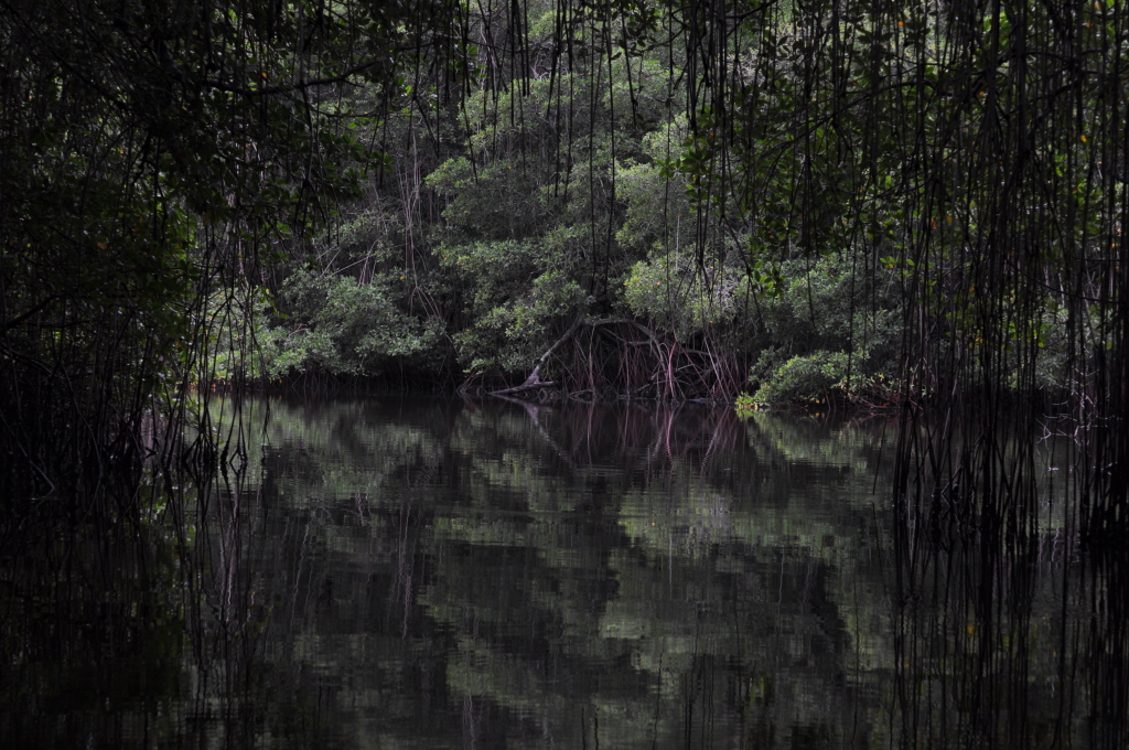 DSC_0807b.JPG
