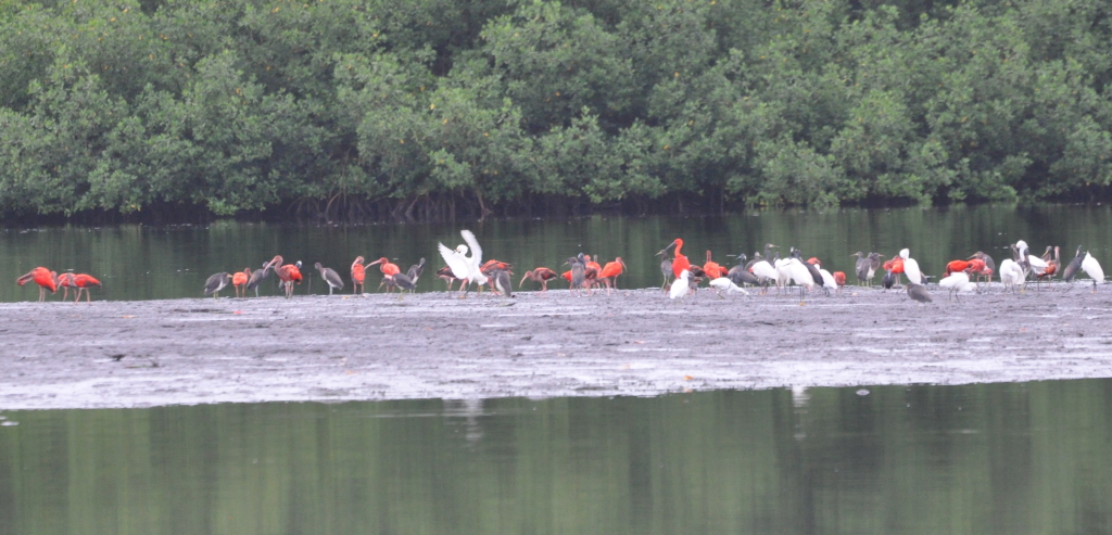 DSC_0094b.JPG