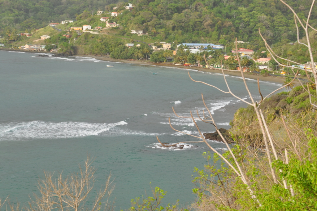 DSC_0634b.JPG