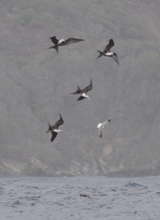 DSC_0081b.JPG