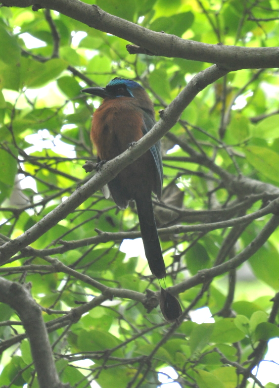 DSC_0125b.JPG