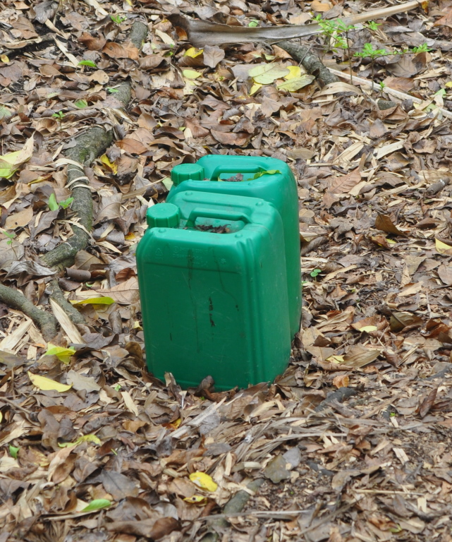 DSC_0191b.JPG