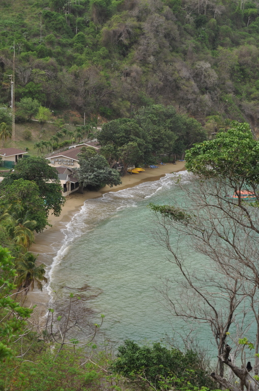 DSC_0575b.JPG