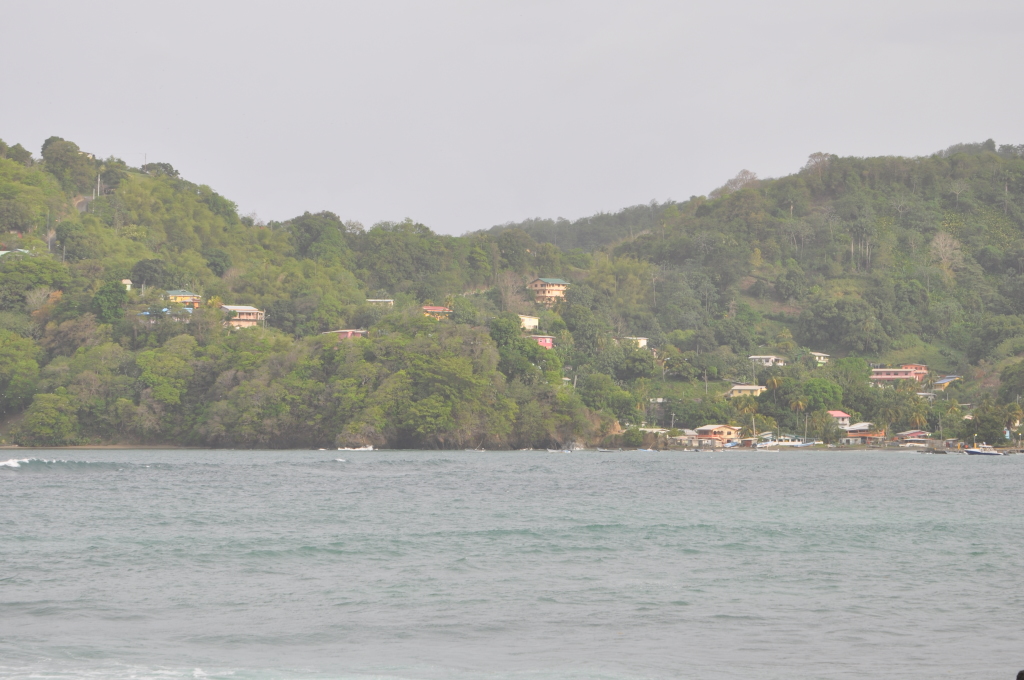 DSC_0667b.JPG