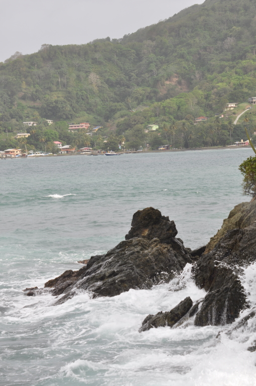 DSC_0668b.JPG