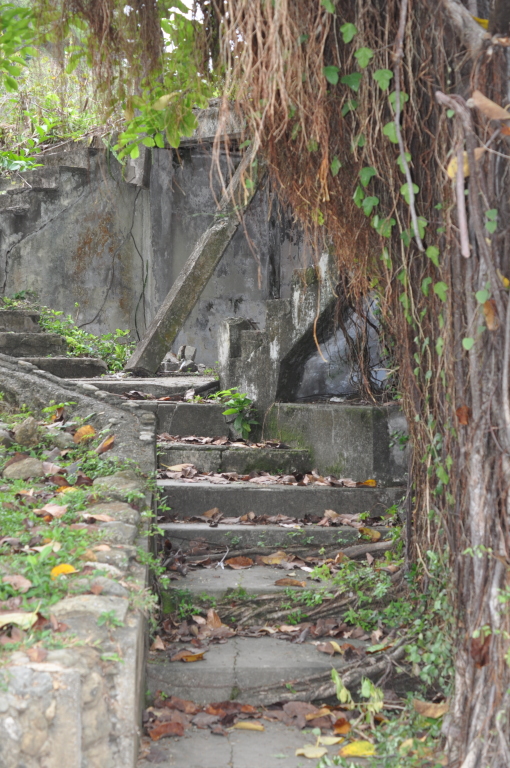 DSC_0707b.JPG