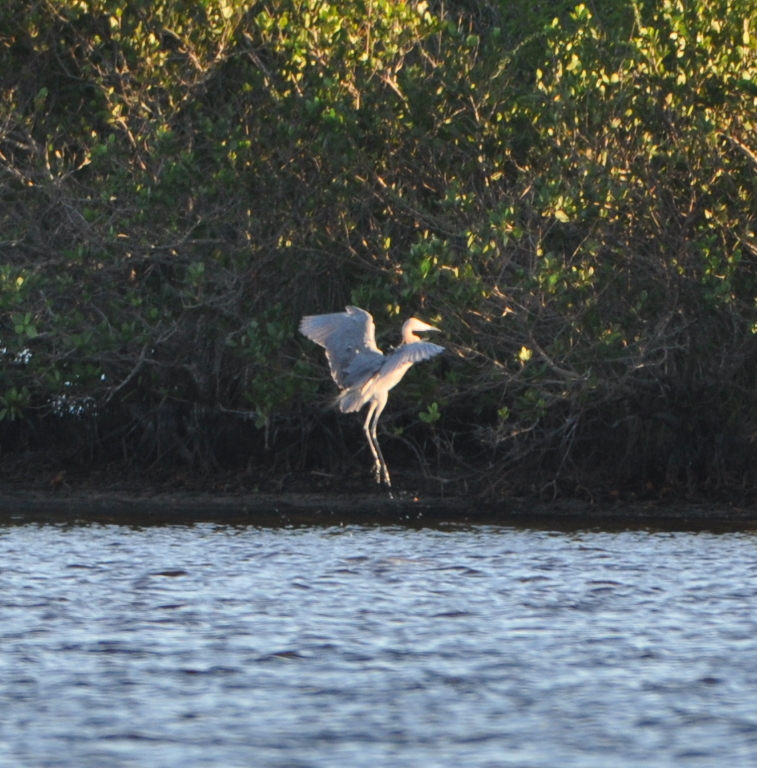 DSC_2244b.JPG