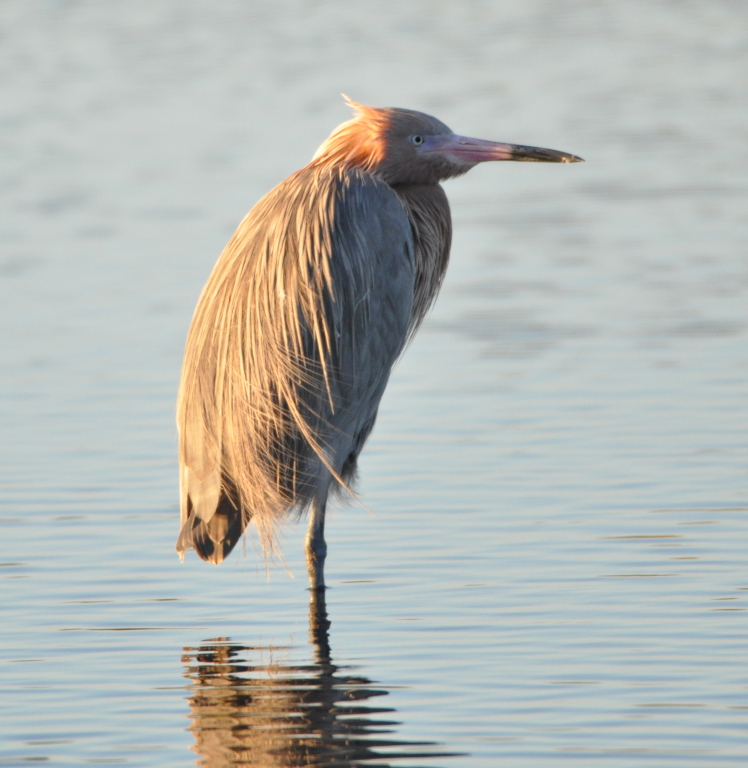 DSC_2283b.JPG