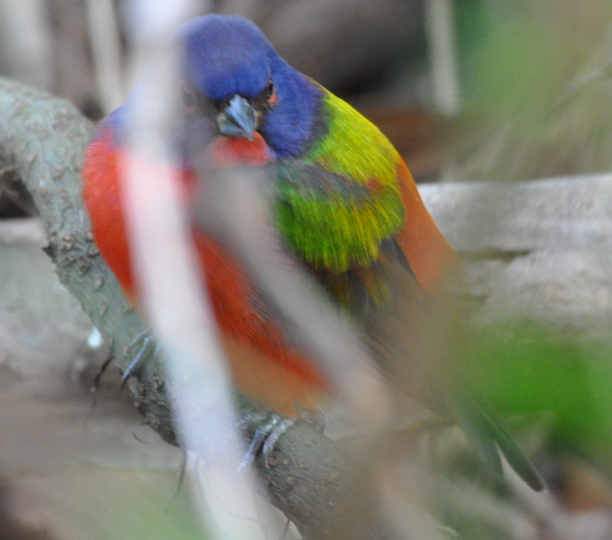 DSC_0192b.JPG