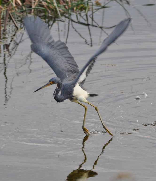 DSC_0302b.JPG