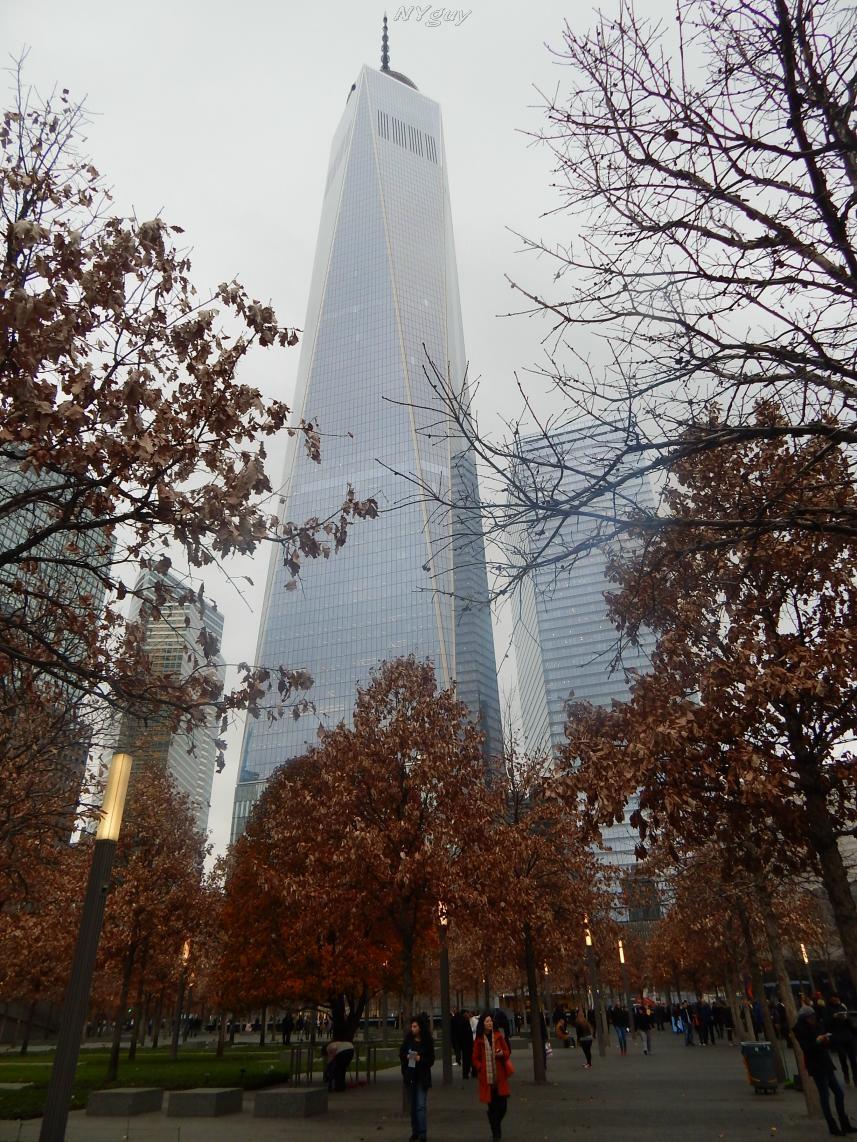 pic120114 186b_wm.JPG