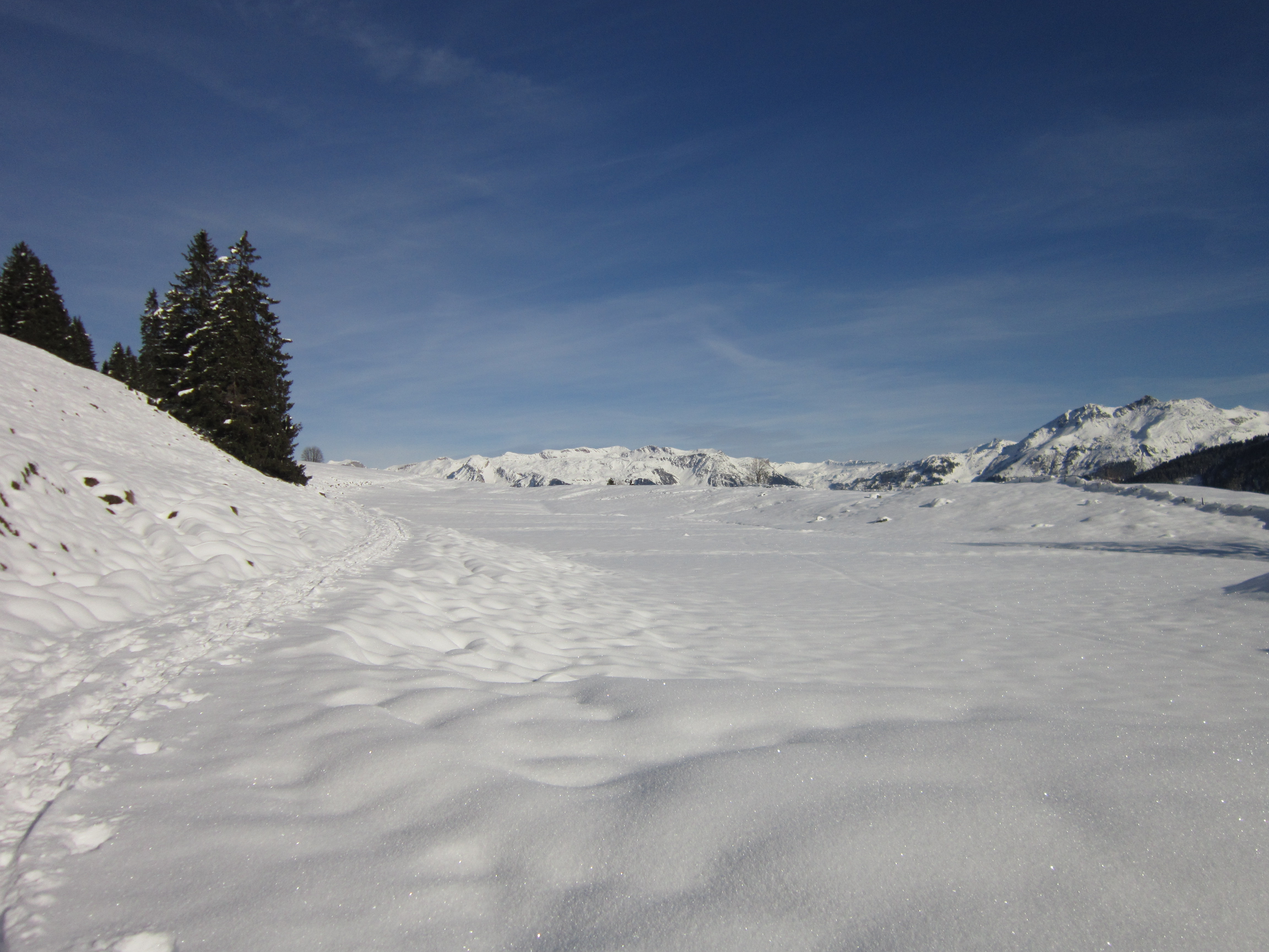 IMG_9424.JPG