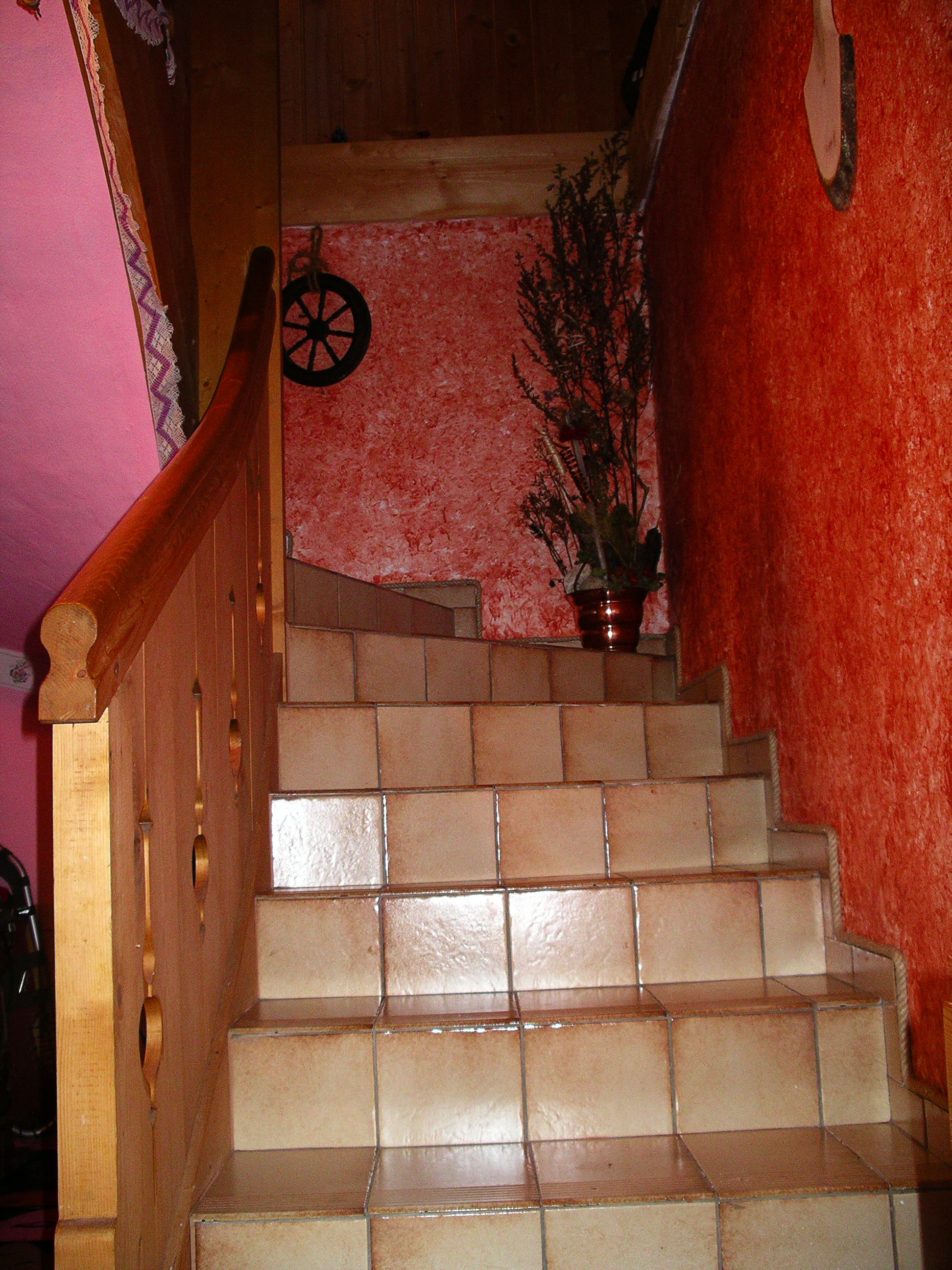 IMGP9769.JPG