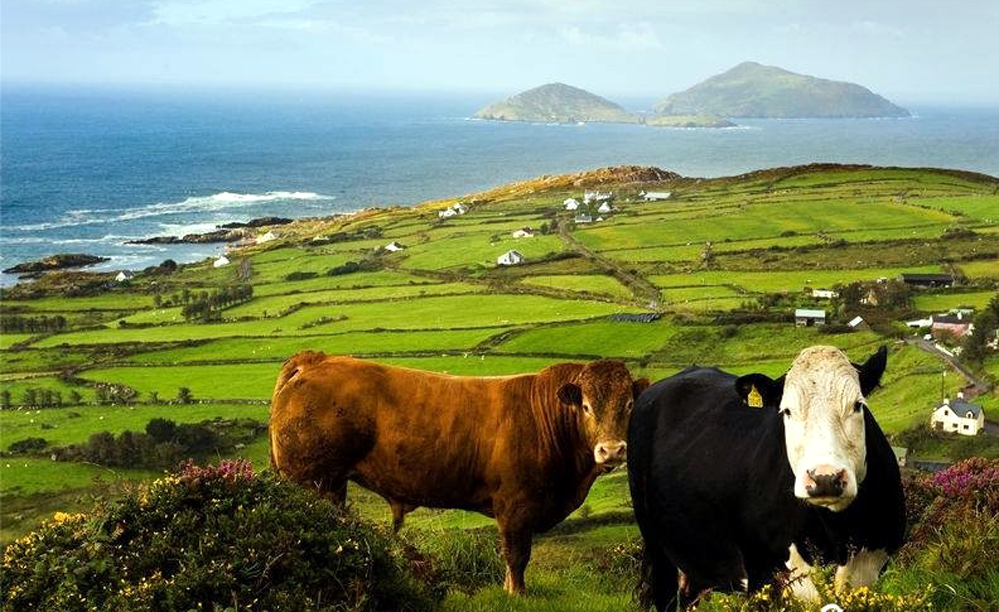 Dingle Peninsula - Slea Head drive