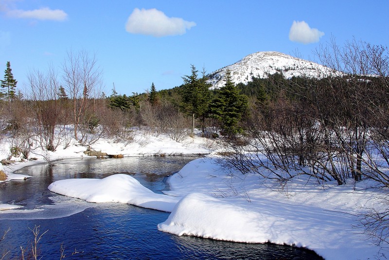 Pouch Cove Brook and The Tolt