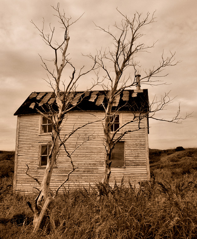 Abandoned House in Keels, Newfoundland**WINNER**