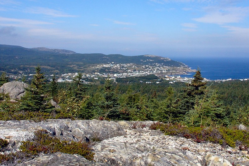 Pouch Cove from the berry hills